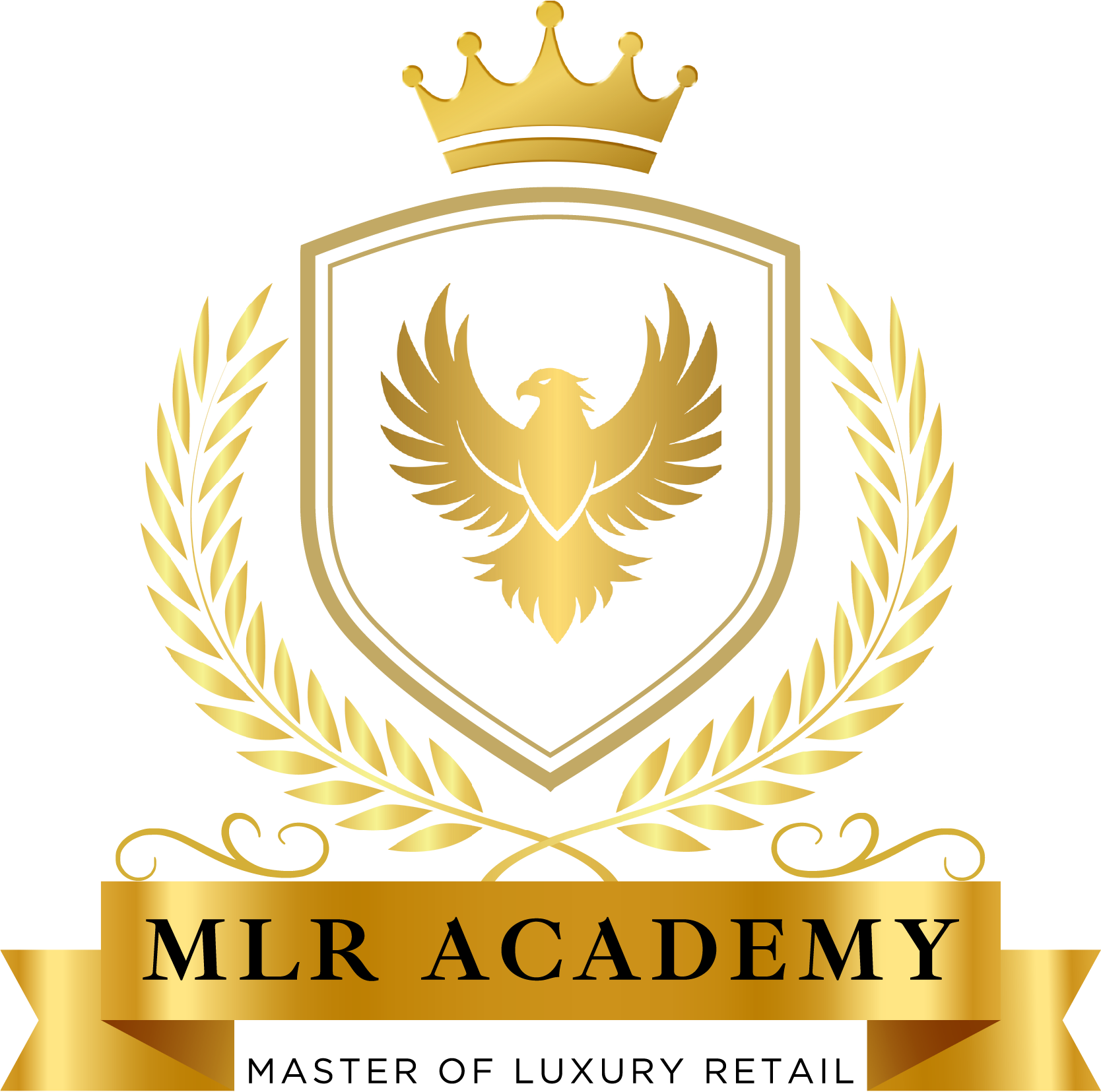 MLR Academy